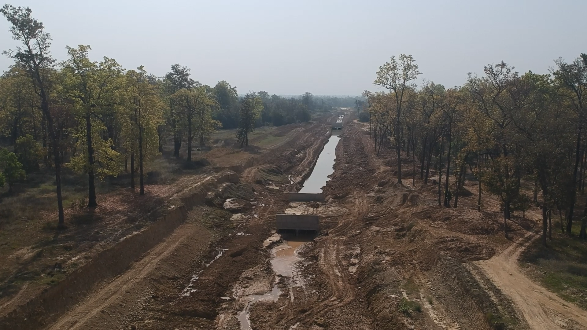 Animal Crossing at Shuklaphanta National Park